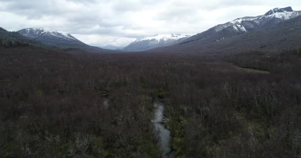 Aérea superior de río salvaje descubriendo cascada rodeada de bosques y paisaje montañoso de invierno. Volando por encima del agua que fluye descubrimiento repentino de acantilado natural. Cascada Vullignanco, Neuquén — Vídeos de Stock