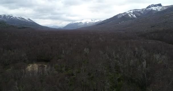 Vzdušné létání nad těžkopádnými lesy. Panoramatický výhled na zimní hornatou krajinu Patagonie. Silnice 40, turistické místo. Nothofagus, Nequen, Argentina — Stock video