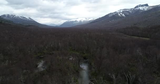 Aerial drone scene flying above deciduous woods discovering waterfall. Snowy mountain chains at background. Vullignanco river, Neuquen, Argentina. Lanin national park. — Stock Video