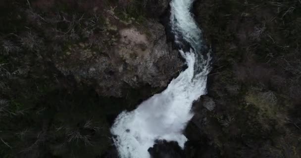 Εναέρια σκηνή drone πετούν προς τα πίσω από καταρράκτη. Από την κορυφή μέχρι την πανοραμική θέα. Φυλλοβόλα δάση και χιονισμένες ορεινές αλυσίδες στο παρασκήνιο. Εθνικό Πάρκο Lanin — Αρχείο Βίντεο