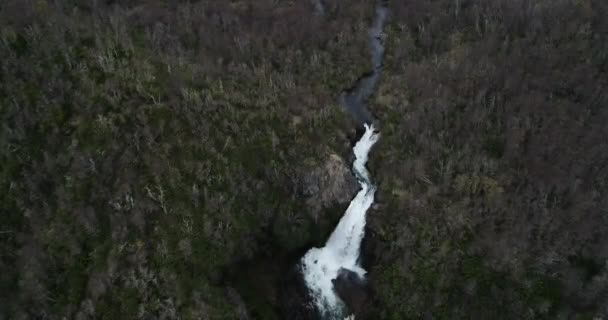 Escena aérea de drones descendiendo mostrando cascada. Textura natural de maderas caducas. Parque Nacional Lanin. Vullignanco, Neuquén, Argentina — Vídeo de stock