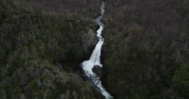 Aerial drone scene ascending showing waterfall discovering natural texture of deciduous woods. Lanin National Park. Vullignanco, Neuquen, Argentina — Stock Video