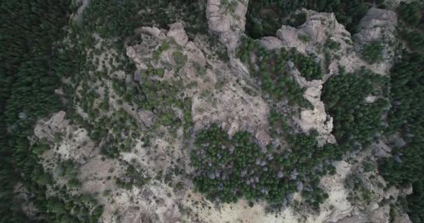Escena aérea superior de bosques de pinos y acantilados rocosos. Panorámica a través de paisaje montañoso, texturas naturales. Valle encantado, Bariloche, Argentina — Vídeos de Stock