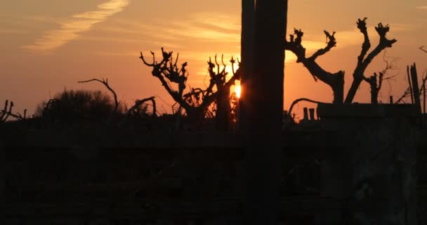 Прогуливаясь по силуэтам сооружений, щебень и мертвые деревья в заброшенном разрушенном городе. Оранжевое солнце на горизонте. Эпизод городского пейзажа. Разрушение окружающей среды. Озил, Аргентина . — стоковое видео