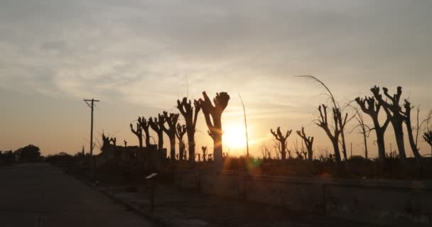 Sole con luce di volume che appare dietro siluette di alberi e costruzioni macerie di città distrutta e abbandonata. Volume luce e razzi. Paesaggio grigio gounty della città di Epecuen — Video Stock