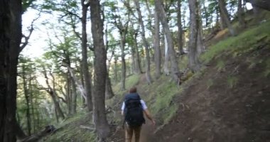 Genç adam yaşlı uzun ormanlar arasında yol boyunca yürüyor. Lanin Ulusal Parkı 'nda gezinti. Doğa manzarası. Cerro Colorado, Patagonya, Arjantin.