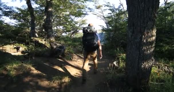 Young man walking along trail between old tall woods up to rocky cliff. Trekking at Lanin National Park. Natural landscape. Cerro Colorado, Patagonia, Argentina. — Stock Video