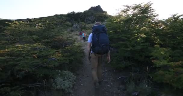 Eine Wandergruppe wandert auf einem Pfad zwischen Bäumen und Wiesen. Fackeln und Sonnenstrahlen tauchen beim Gehen hinter dem Rucksack auf. Wilde Naturlandschaft. Patagonien, Argentinien. — Stockvideo