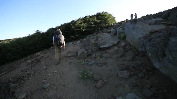 산을 하이킹하는 젊은이의 느린 동작 장면. 불꽃 과 사람의 실루엣에서 나오는 태양 광선이지. 친구들이 기다리고 있고, 배경은 숲의 풍경입니다. 세로 콜로라도, 아르헨티나 파타고니아 — 비디오