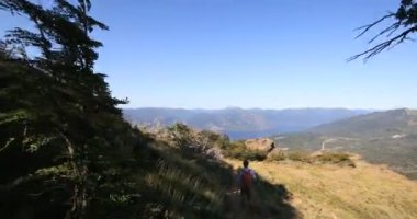 Genç adam çalılar ve ormanlarla yüksek çayırlarda yürüyor. And Dağları 'nın gölleri ve panoramik manzarası. San Martin de los Andes 'e seyahat. Cerro colorado seferi, Patagonya, Arjantin