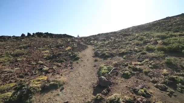 Escena en cámara lenta del joven corriendo en la cumbre de la montaña desierta. La persona pasa rápido por la cámara. Cerro Colorado, formación volcánica. Parque Nacional Lanin. Patagonia, Argentina — Vídeos de Stock