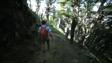Genç bir adamın dağ yolunda hızla koşarkenki yavaş çekim sahnesi. Andes dağlarındaki Nothofagus ormanlarının arka planı. Macera sahnesi. Patagonya, Arjantin