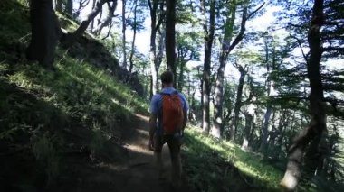 Genç bir adamın dağ yolunda hızla koşarkenki yavaş çekim sahnesi. Andes dağlarındaki Nothofagus ormanlarının arka planı. Macera sahnesi. Patagonya, Arjantin