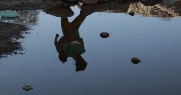 Отражение женщины и ребенка, идущих по воде. Скалы и песок на берегу. Движение рябь делает изображение искаженным — стоковое видео