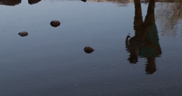 Tükröződik a nő és a baba a víz felett. A meredek mozgás torzítja a képet. Álomszerű, szürreális jelenet. — Stock videók