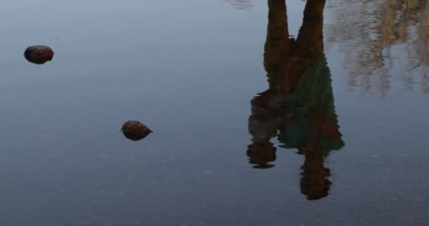 Tükröződik, ahogy a nő és a baba integet a vízen, elbúcsúzik. A meredek mozgás torzítja a képet. Álomszerű, szürreális jelenet. — Stock videók