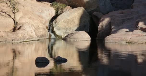 Detalhe de pequena queda e lago em fundo rochoso. Reflexão clara de precipício e queda sobre a lagoa. Canyon Hualco, Província de Rioja, Argentina — Vídeo de Stock