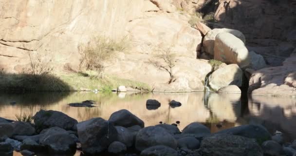 Деталь дрібного падіння і озера на скелястому тлі. Яскраве відбиття скелі над лагуною. Каньйон Хуалко (провінція Ріоха, Аргентина). — стокове відео
