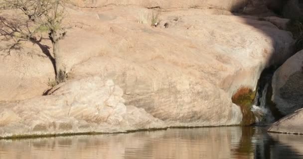 Detalj av små fall och sjö i stenig bakgrund. Tydlig reflektion med ringar. Solreflektionens rytm över klippväggen. Hualco canyon, provinsen Rioja, Argentina — Stockvideo