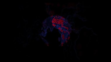 2020 yılında Coronavirus tatlısından etkilenen dünyanın dijital modern animasyon etkisi COVID-19 kırmızı ve mavi bölgelerde daha fazla hasta ve ölü insan var..
