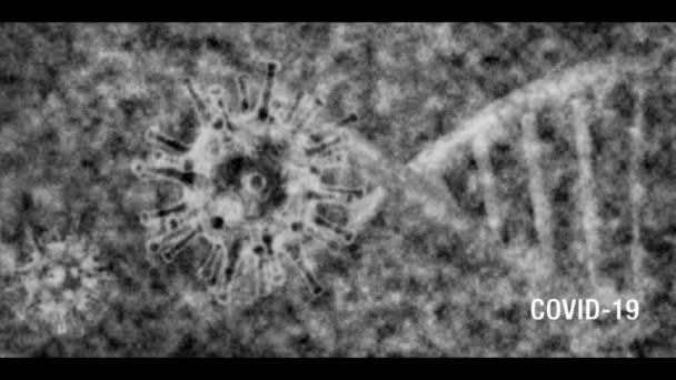 Coronavirus COVID-19的文本和显微镜图像显示了一个黑色和白色的老式电视效果，暴露摆动和文字在右下角. — 图库视频影像