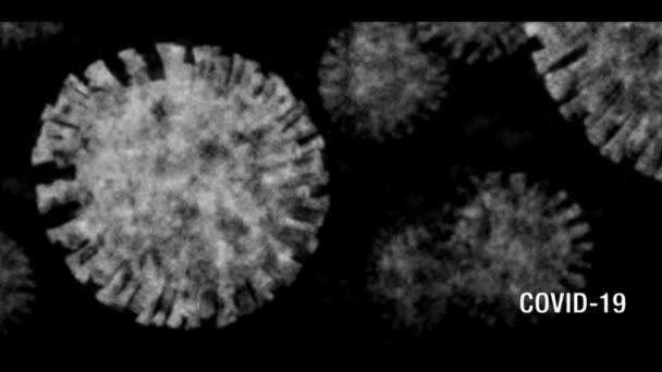 Coronavirus COVID-19 tekst en microscoop beeld onthullen met een zwart-wit, vintage oude tv-effect met blootstelling wiebelen trillingen en tekst aan de rechteronderkant. — Stockvideo