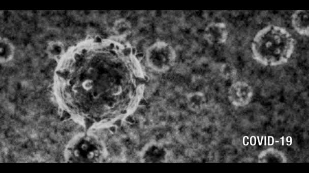 Imagen de texto y microscopio del Coronavirus COVID-19 revelada con un efecto de TV antiguo en blanco y negro con vibraciones de exposición y texto en la parte inferior derecha . — Vídeos de Stock