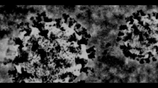 Imagen de texto y microscopio del Coronavirus COVID-19 revelada con un efecto de TV antiguo en blanco y negro con vibraciones de exposición y texto en la parte inferior derecha . — Vídeos de Stock