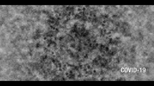 コロナウイルスCOVID-19テキストと顕微鏡画像は、右下に露出の角度振動とテキストと黒と白、ヴィンテージの古いテレビ効果で明らかに. — ストック動画