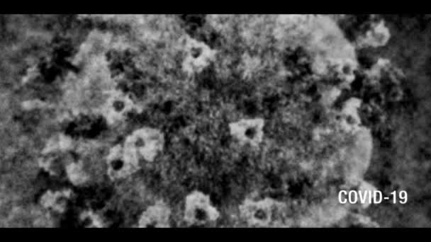 Coronavirus COVID-19 metin ve mikroskop görüntüsü sağ altta titreşim ve metin ile siyah beyaz, eski bir TV efekti olduğunu gösteriyor. — Stok video