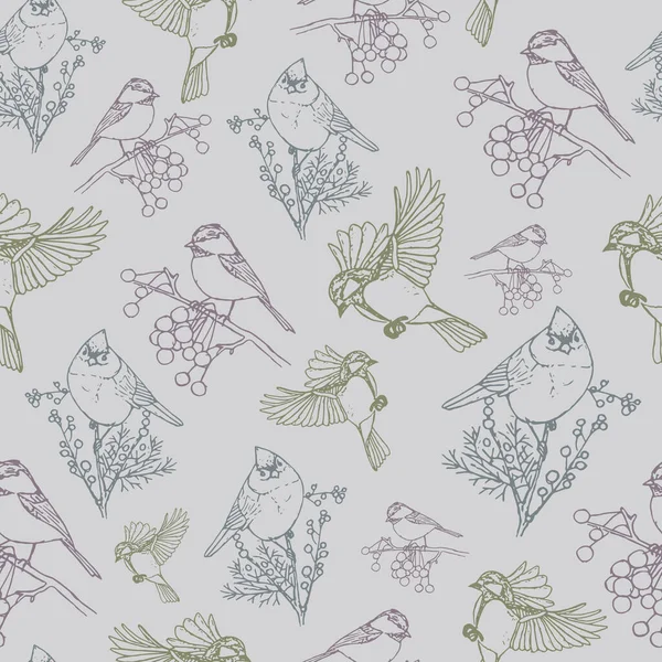 Vektor mönster med färgglada fåglar grå bakgrund — Stock vektor