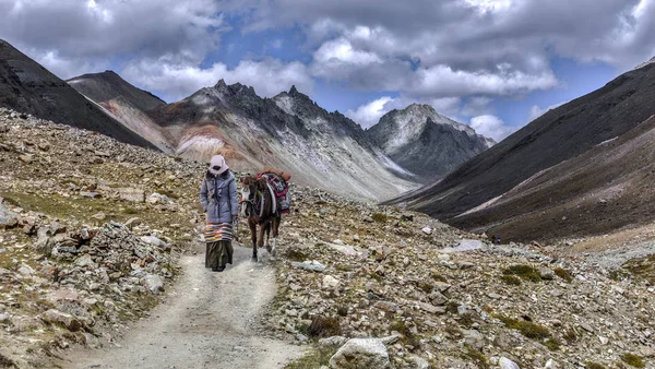 Dans Une Des Gorges Tibet — Photo