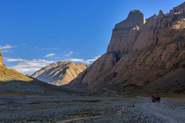 Kailash Dağları 'nın kuzey duvarından çık ve etrafından dolaş..