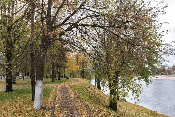 - Rusya. Vologda. Şehir parklarının ve meydanlarının sonbahar manzarası.
