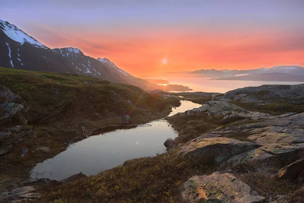 Noite Verão Ártico Noruega Margem Fiorde — Fotografia de Stock