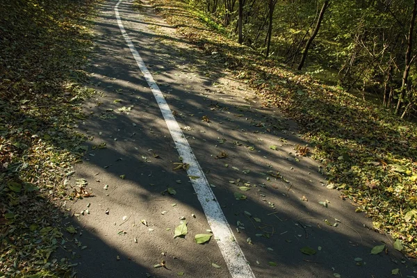 Asfaltowa droga z linii — Zdjęcie stockowe