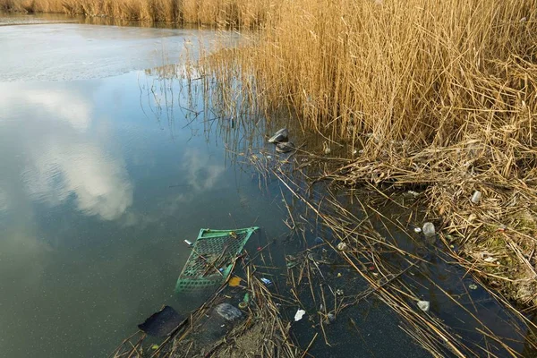 Річка з плаваючим сміттям, природою та навколишнім середовищем . — стокове фото