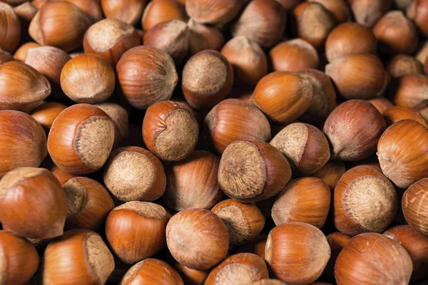 A pile of shelled hazelnuts. — Stock Photo, Image