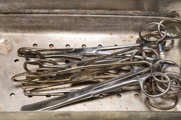 Old forceps and medical scissors in steel tray.