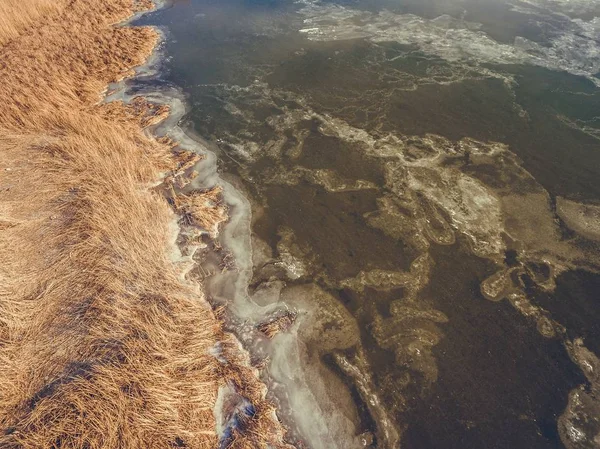 Żółty reed i zamarzniętej rzece w okresie zimowym. — Zdjęcie stockowe