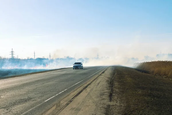 Yol boyunca yanan bozkır.
