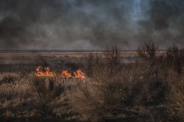 Strong prairie fire with large clouds of choking smoke erupted in southern steppe.