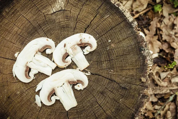 Cogumelos de champignon fatiados no toco de carvalho na floresta . — Fotografia de Stock