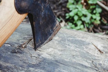 eski paslı balta dokulu ormanlık arka planda.