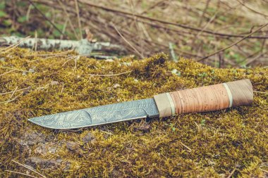Şam çelikten yeşil yosun üzerinde bıçak.