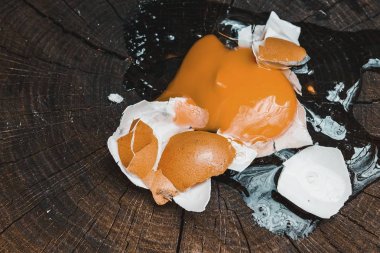 Ormandaki eski güdük üzerinde kırık yumurta. 