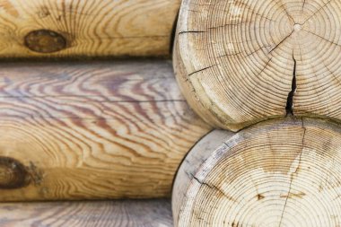 Ahşap günlükleri doku arka plan duvar.