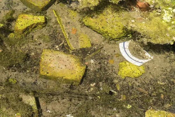 Old red brick and garbage in clear creek water. — Stock Photo, Image