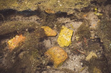 Eski kırmızı tuğla ve çöp açık dere su. 