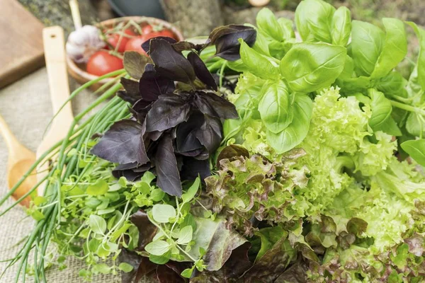 Свежие органические базилик, тимьян и листья салата с деревенской посудой . — стоковое фото